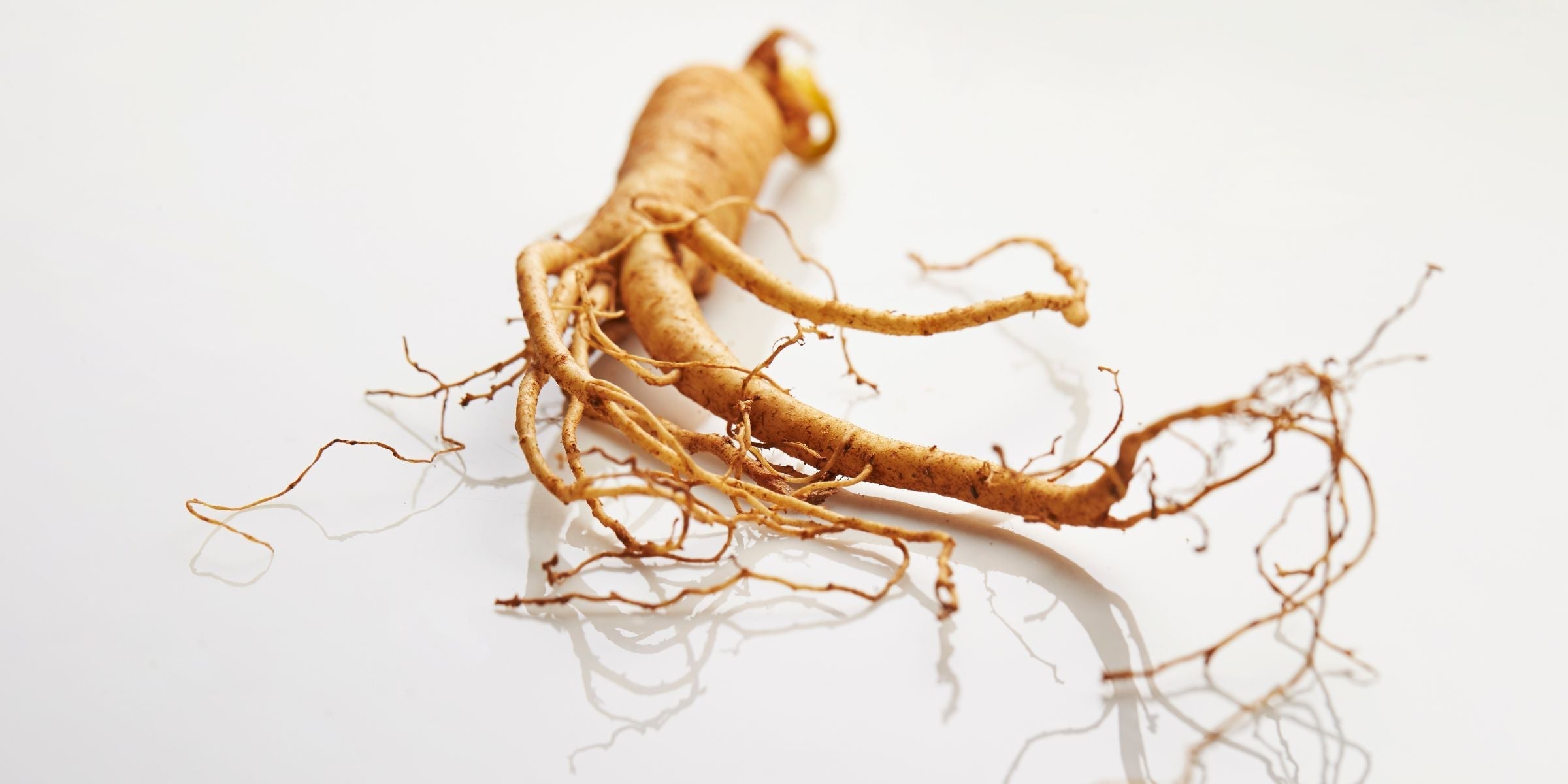 Six reasons your herbs don't work