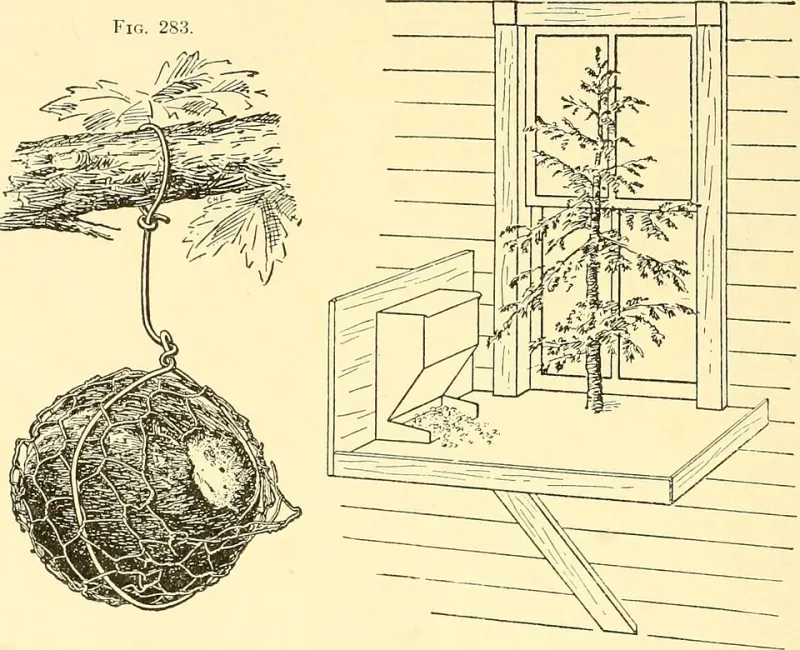 From Cutting to Commerce: Building a Legitimate Plant Business From Your Home Collection
