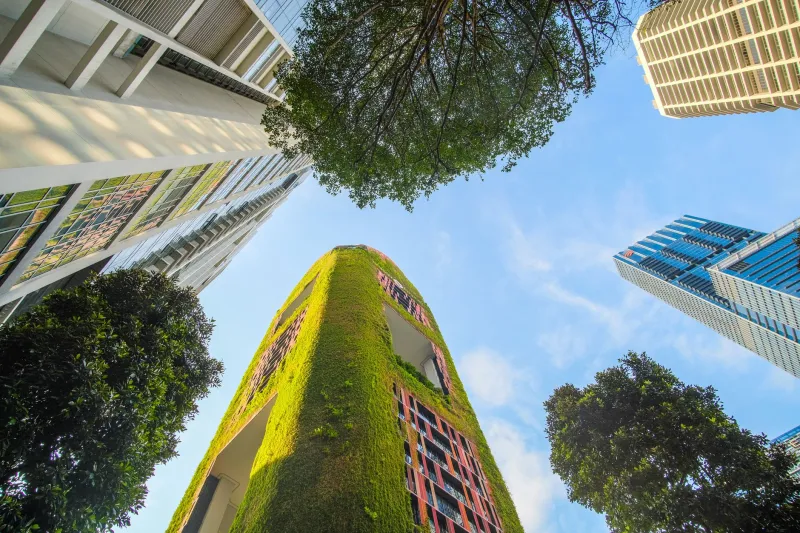 Green Credentials: How Thoughtful Botanical Design Advances WELL Certification and Indoor Air Quality Compliance