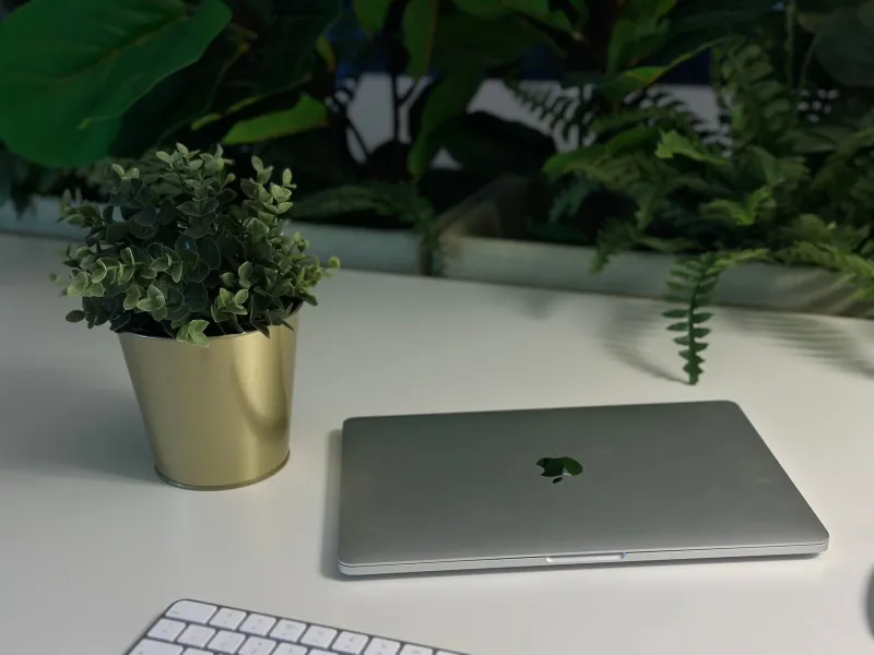 Green on a Budget: How Botanical Workplaces Deliver More for Less Than Executives Expect