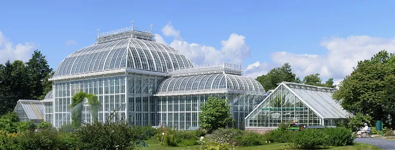 Grow Smart, Spend Less: A Homeowner's Framework for High-Impact Botanical Design on a Realistic Budget
