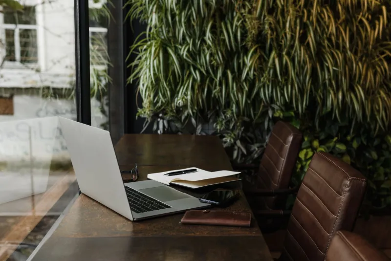 The Living Acoustic: How Plants and Green Walls Are Quietly Solving the Open-Office Noise Crisis