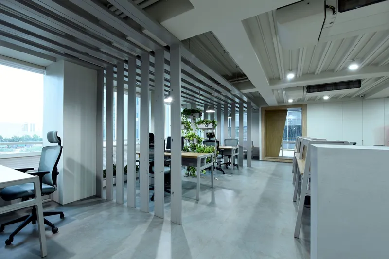 Planting for the Planet: How Strategic Botanical Design Supports Corporate Net-Zero Commitments